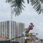 Galo da Madrugada...