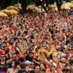 Pedro Sampaio, Daniela...