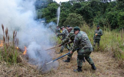 Brigada02