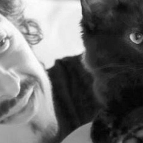 Influenciador relata perda de seu gato por conta de envenenamento: “ressignificar essa dor”